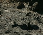Трое школьников в Ярославской области закурили и сожгли сарай сена