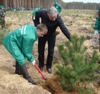 В МРСК Центра продолжается реализация акции «Сохраним энергию леса»