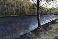 В Красноперекопском районе обнаружено залитое нефтью озеро