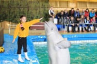 ЧП. Из ярославского дельфинария пытались похитить животных.