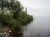 Под Ярославлем пенсионер утонул во время купания