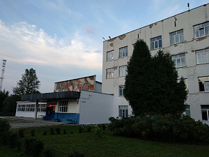 Ареналь, спортивный клуб