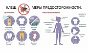Техника безопасности: жителям Ярославля рассказали правила, которые помогут защититься от клещей