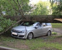 Дерево упало на машину