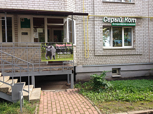 Магазин Черный Кот У Ярославле