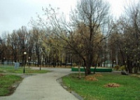В парке Мира найден труп мужчины В парке Мира найден труп мужчины