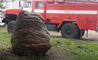 В Ярославле снесли памятный знак погибшему массажисту "Локомотива"