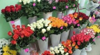 Продавщица цветов обокрала пенсионерку Продавщица цветов обокрала пенсионерку