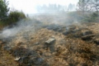 В Ярославской области снова горят торфяники