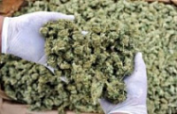 Студенты из Башкортостана привезли в Ярославль курительные смеси