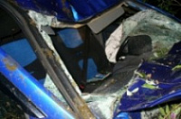 В ДТП под Угличем погибло животное и пострадал человек