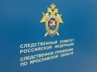 В Рыбинском районе нашли тела двух подростков, погибших при разных обстоятельствах