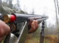 От рук браконьера погиб лось