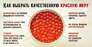 Как выбрать качественную красную икру