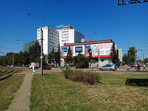 ПрофХимСервис, служба дезинсекции