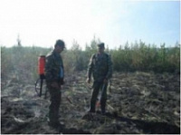 В Ярославской области зарегистрирован торфяной пожар