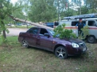 Легковой автомобиль в Ярославле снес столб электропередач