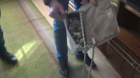 Таджик и украинка планировали сбыть в Ярославле крупную партию героина.