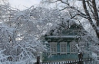 Ярославские полицейские за сутки раскрыли убийство пенсионерки-художницы