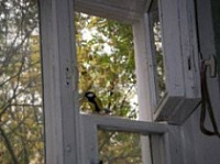 В Дзержинском районе поймали воров-форточников