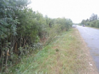 Ярославцы упорно продолжают садиться за руль в нетрезвом состоянии
