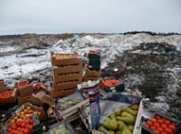 Более 2 тонн санкционной продукции растительного происхождения выявлено на территории Ярославской области в 2018 году