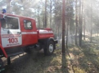 В лесу Ярославского района тушат низовой пожар