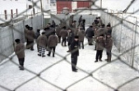 В Некрасовском районе преступник нанес пенсионерке 27 ножевых ударов