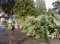 В Угличе устраняют последствия грозы с ураганным ветром