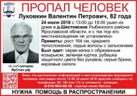 В Рыбинском районе пропал 82-летний пенсионер