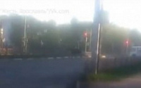 На проспекте Дзержинского через дорогу бегал лось