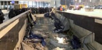 Во время происшествия в московском метро пострадал Ярославец