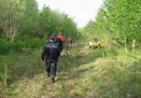 Жительница Петербурга, пропавшая в лесу в Некоузском районе, погибла.