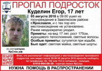 В Ярославле разыскивают 17-летнего подростка