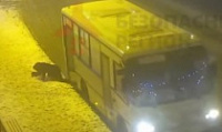 Женщину защемило дверью маршрутки и протащило несколько метров по земле [ВИДЕО]