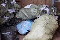 Наркополицейские уничтожили около 17,5 килограммов наркотиков на сумму более 12 млн. рублей