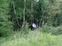 В Борисоглебском районе кроссовер занесло в лесополосу