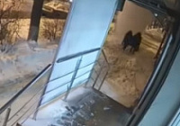 Двух женщин завалило снегом с крыши