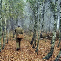В Угличе пропал пенсионер из дома-интерната