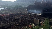 В Ярославской области уничтожили почти 800 килограмм польских яблок