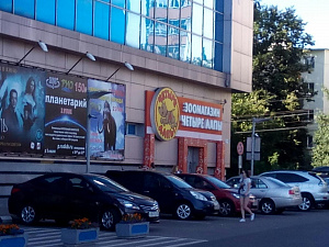 Четыре лапы, сеть зоомагазинов