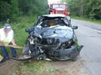 В Борисоглебском районе лось спровоцировал аварию