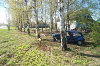73-летняя автоледи улетела на «Оке» в кювет и врезалась в дерево