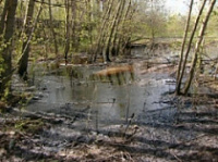 Возле НПЗ замечено огромное нефтяное пятно