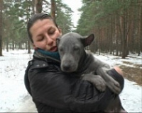 Искали щенка стоимостью почти сто тысяч рублей