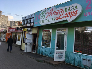 GyroBar, кафе